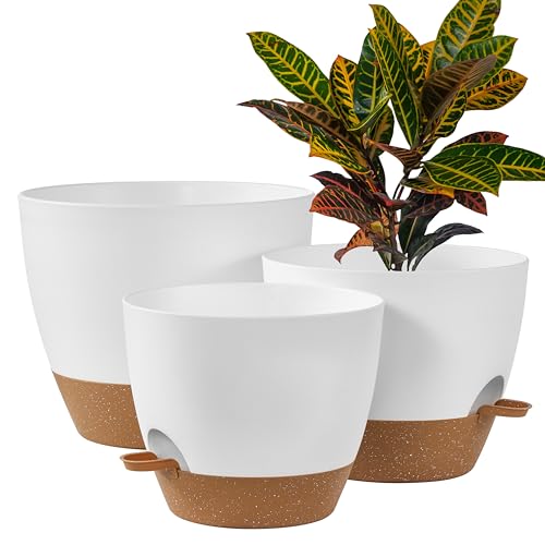 3 Pack Large Planter Pots (3 Count)