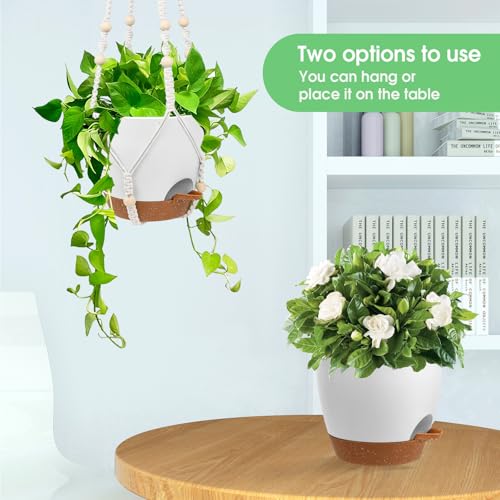 Hanging Planters for Indoor Outdoor Plants (2 Count)