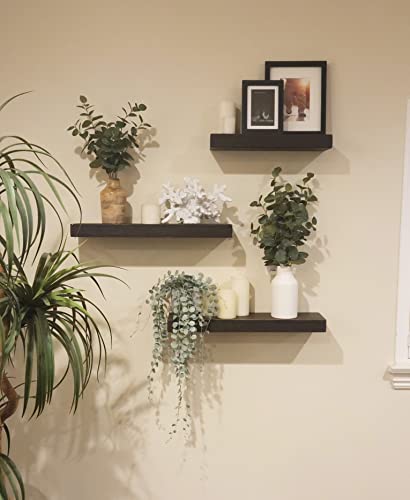 24 inch Wooden Floating Shelves for Wall