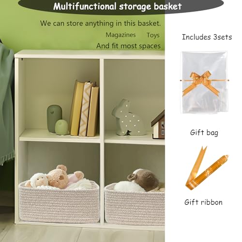 13" x 8.5" x 5.1" Storage Baskets for Organizing