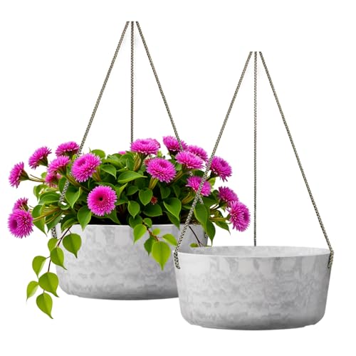 2 Pack 10.7 Inch Hanging Planter for Indoor Plants
