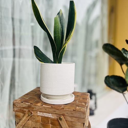 Ceramic Plant Pot Drainage Hole & Saucer for Indoor Plants