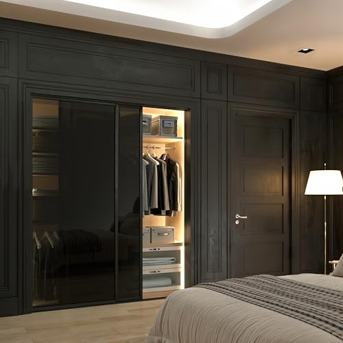 Glass Room Divider and Sliding Glass Closet Doors