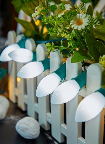 Vintage C9 LED Christmas Lights Outdoor (50 Count)