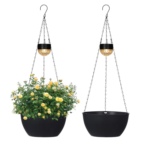 2 Pack Solar Hanging Planters for Plants Outdoor (2 Count)
