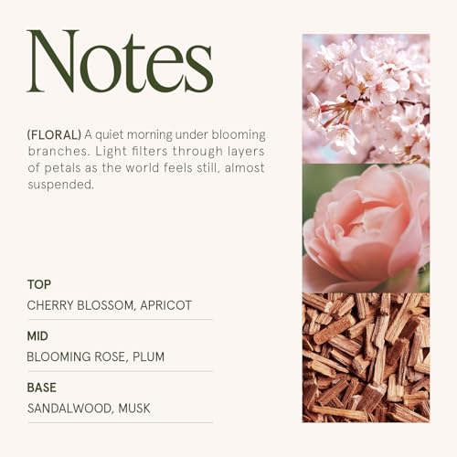 Cherry Sakura Scented Candles for Home (6 Ounce)