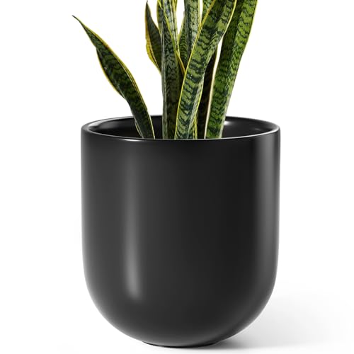 10 Inch Plant Pot