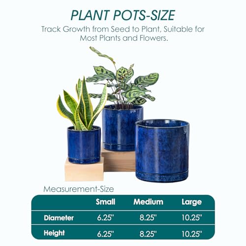 Ceramic Planters (3 Count)