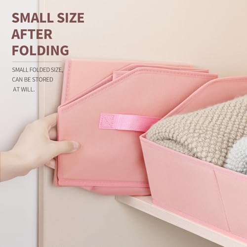 Storage Bins for Shelves (6 Count)