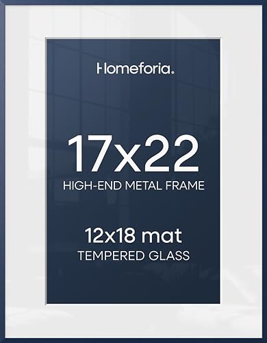 17x22 Blue Picture Frame