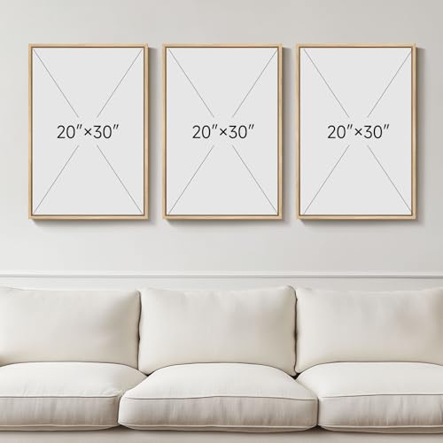 Framed Black and White Neutral Abstract Wall Art for Living Room (3 Count)