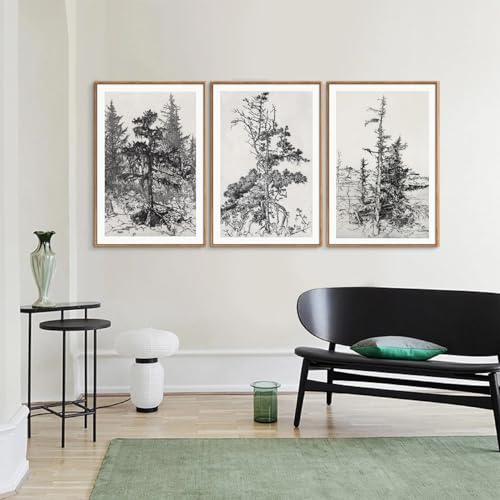 Vintage Tree Framed Wall Art Set (3 Count)