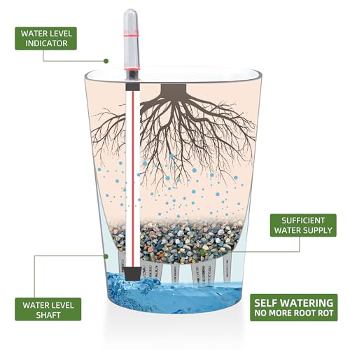 6x7 Self Watering Planter