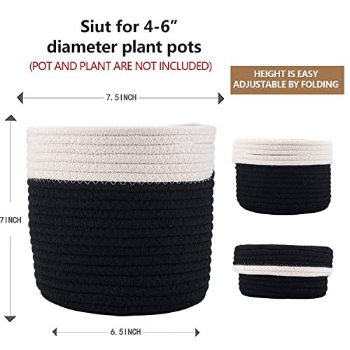 6.5 inch Planter Baskets for Indoor Planters Black&White