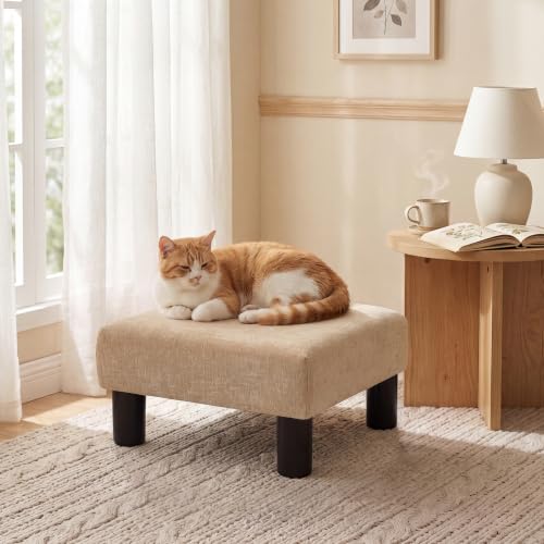Small Foot Rest Stool Ottoman