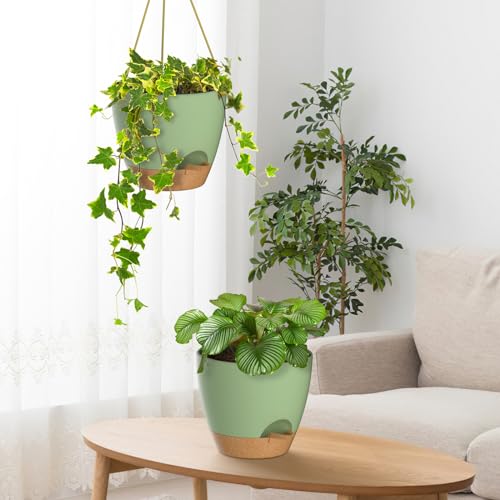 10 Inch Hanging Planters for Indoor Outdoor Plants (2 Count)