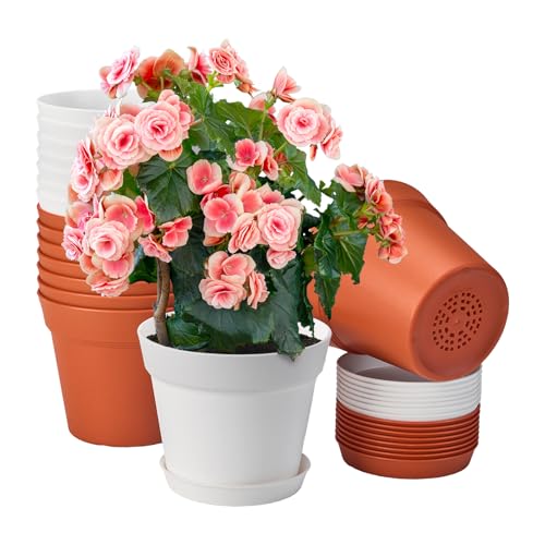 6 Inch Plastic Plant Pots with Drainage Holes and Trays (16 Count)