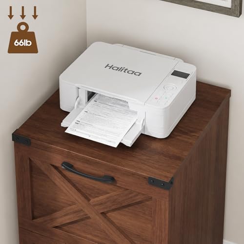 Farmhouse File Cabinet with Lock & 2 Drawers