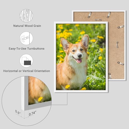 Custom Framed Poster Prints with Your Any Photos