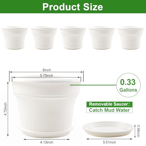 6 Inch Plastic (6 Count)