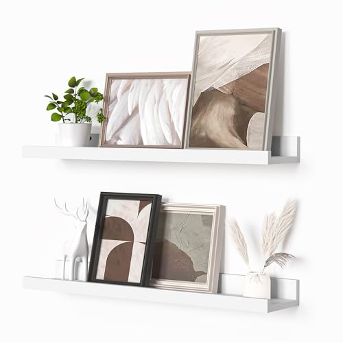 Picture Ledge Shelf (2 Count)