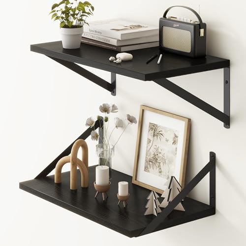 Black Floating Shelves 18 Inch Long (2 Count)