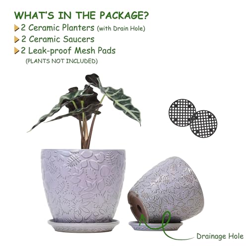 8 Inch + 6 Inch Retro Ceramic Planter Set of 2 with Drainage Hole and Saucer for Multiple Plants (2 Count)