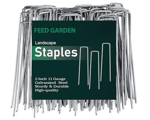 6 Inch 200 Pack Galvanized Landscape Staples 11 Gauge Anti (200 Count)
