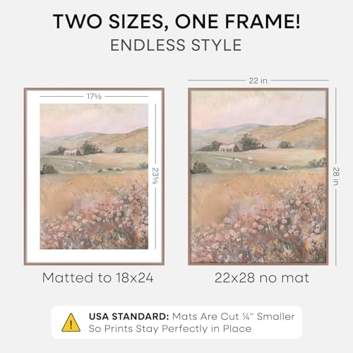 22x28 Mocha Poster Frame