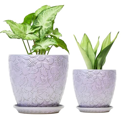 8 Inch + 6 Inch Retro Ceramic Planter Set of 2 with Drainage Hole and Saucer for Multiple Plants (2 Count)