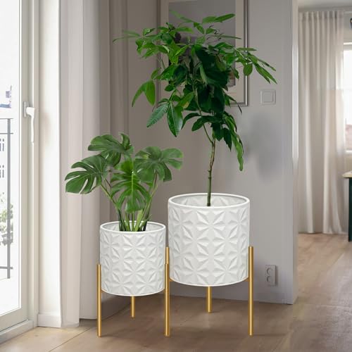 Plant Pots with Stand (2 Count)