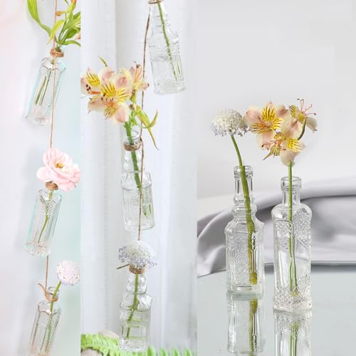 24 pcs Small Mini Clear Vintage Glass Bottles with Corks (24 Count)