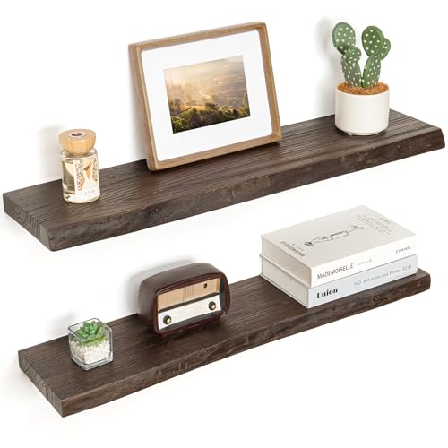 Floating Shelves for Wall Decor (2 Count)