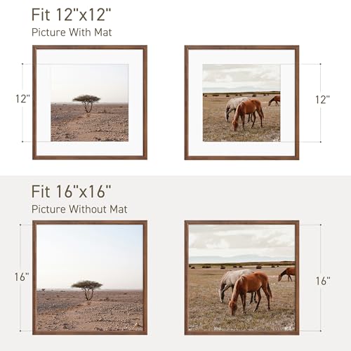 16x16 Picture Frame Set of 4 Natural Solid Walnut Photo Frames with 12x12 Removable Mat Wall Hanging Large Handcrafted Frame with HD Plexiglass Wall and Tabletop Display Large Poster Frame (4 Count)