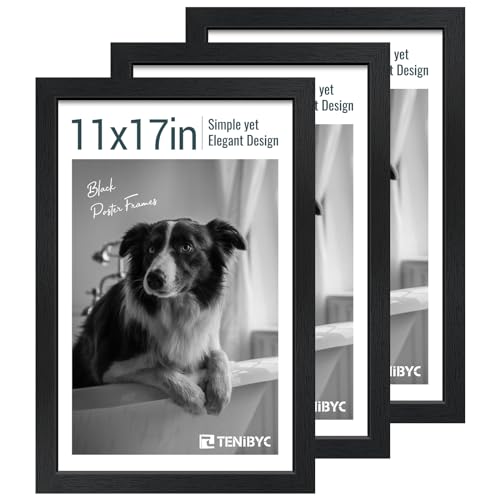 11x17 Picture Frame 3 Pack (3 Count)