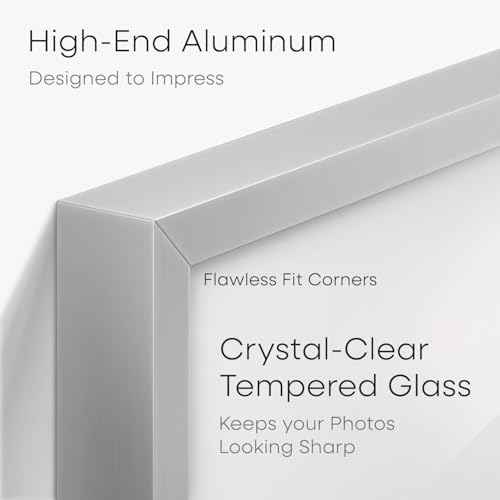 5x10 Silver License Frame (3 Count)
