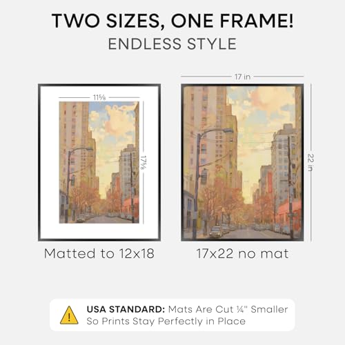 17x22 Black Picture Frame