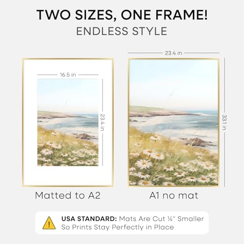 A1 Gold Poster Frame