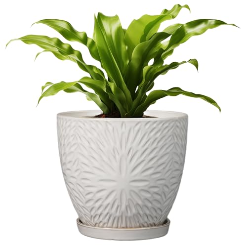 8 Inch Ceramic Plant Pot with Drainage Hole and Saucer