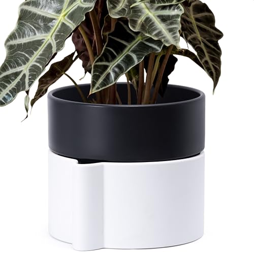 8 Inch Self Watering Planter Pot with Terracotta Insert