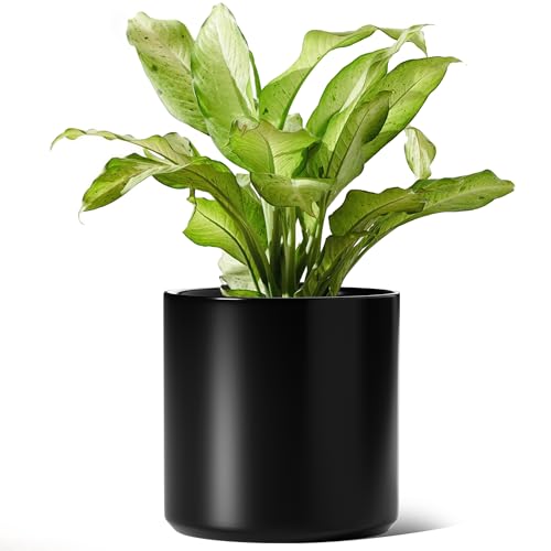 12 Inch Pot for Plants
