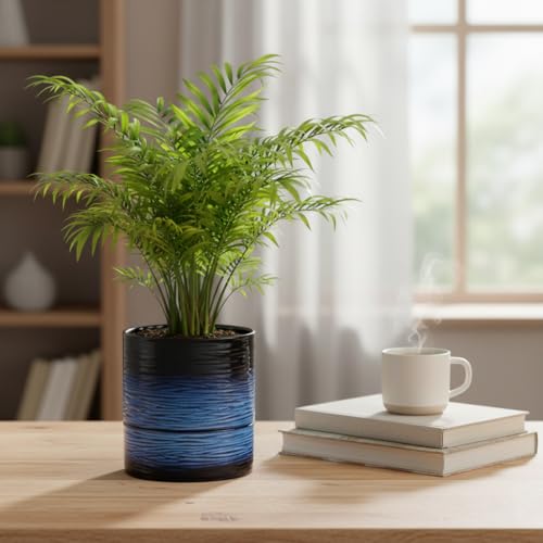 Ceramic Self Watering Plant Pot for Indoor Plants