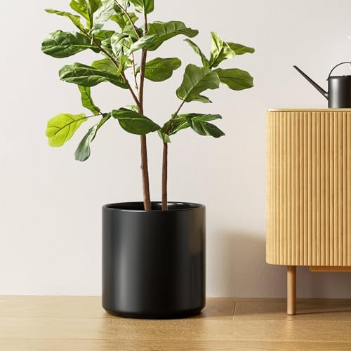12 Inch Pot for Plants