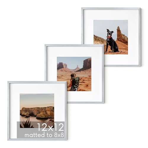 12x12 Silver Metal Picture Frames Matted to 8x8