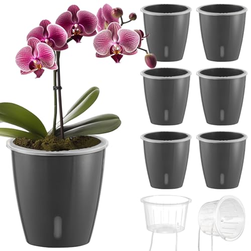Self Watering Pots for Indoor Plants (6 Count)