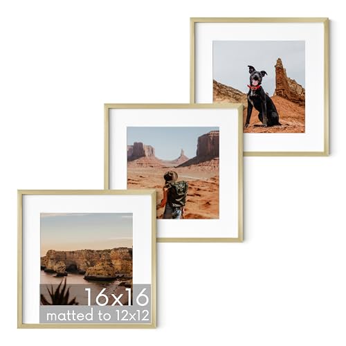 16x16 Gold Metal Picture Frames Matted to 12x12 (3 Count)