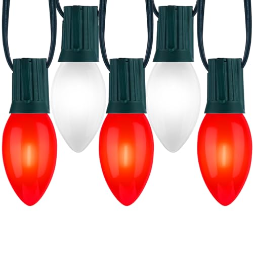 100Ft Christmas Lights Outdoor (100 Count)
