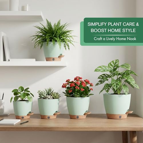 5 Pack Green 5 (5 Count)