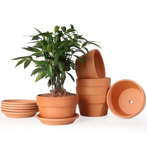 5 Inch Terracotta Shallow Pots Set with Saucer (6 Count)