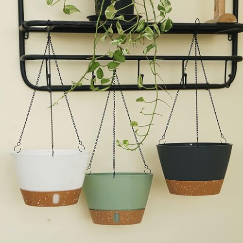 2 Pack 10 Inch Hanging Planters for Indoor Plants (72 Count)